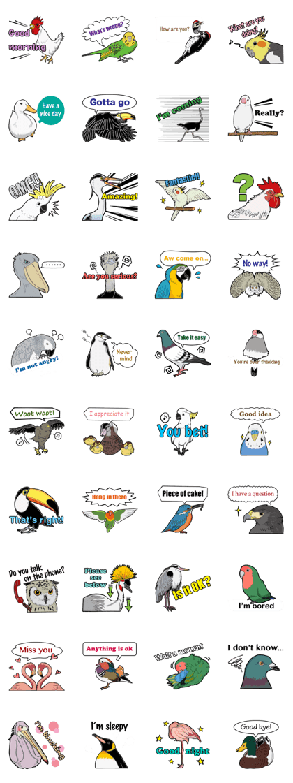 Birds of the world