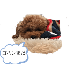 daikichi'sstamps
