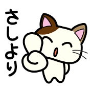 Miytan,Kumamoto valve of a calico cat 3