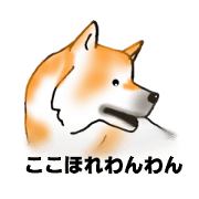 COCOHORE WANWAN