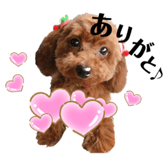 Saori_20200519132338