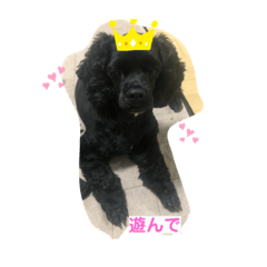 HANA_20200519133255
