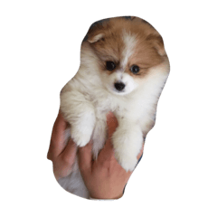 Yurina_20200519135418