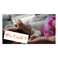 AKARI_20200519140157