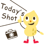 Look at my pics!