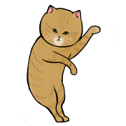 Neko chan