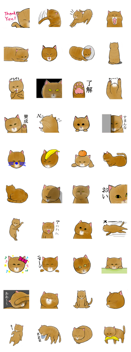 Neko chan