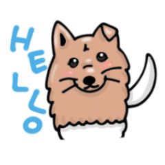 Koro,japanese dog