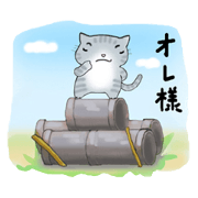 Cute kitten colon 3