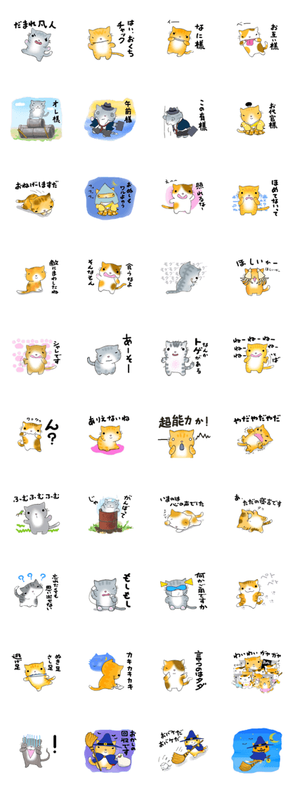 Cute kitten colon 3