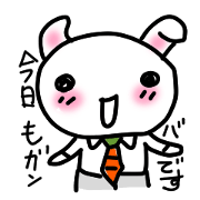 the cute rabbit the cute rabbit