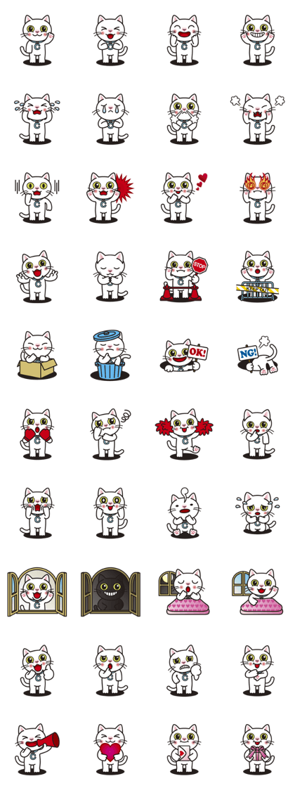 COCO the White Cat
