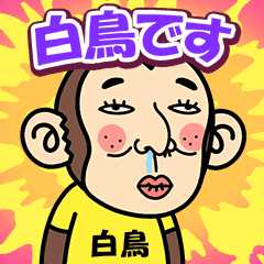 Shiratori is a Funny Monkey2