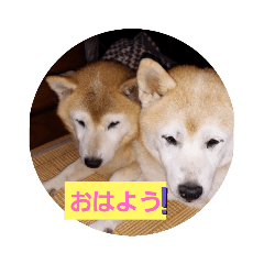 mina_20200519161716