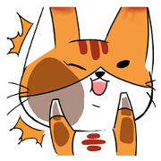 Jimmy cat
