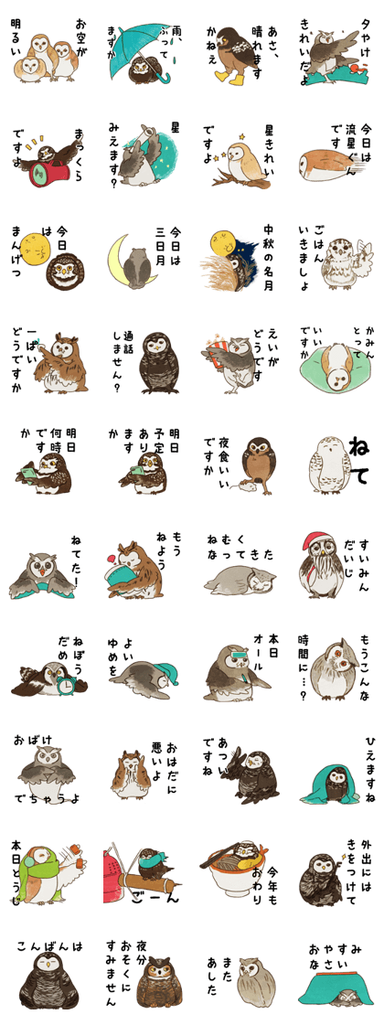 Owl speaks word