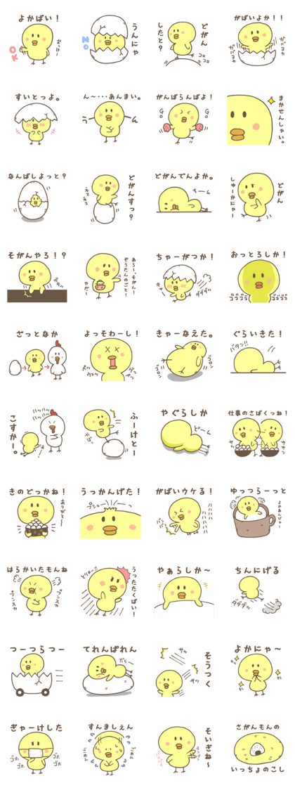 SAGA CHICK