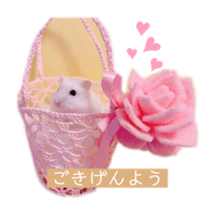 Rina_20200519155027