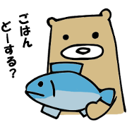 everyday bear
