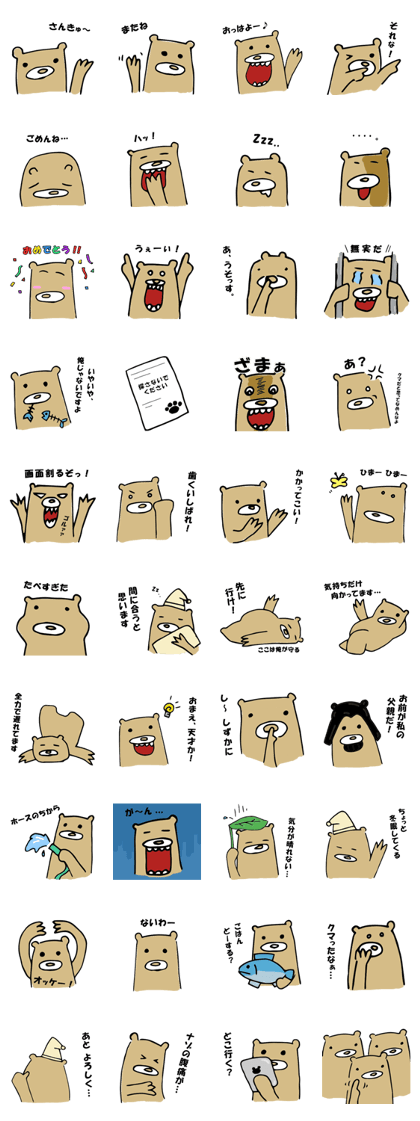 everyday bear