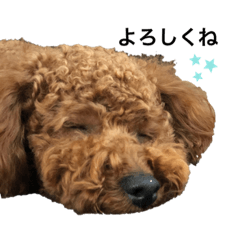 asuka_20200519174832