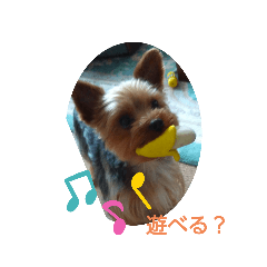 tonton_20200519174740