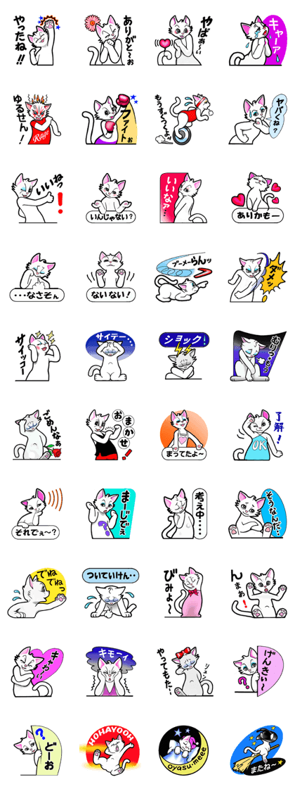 IWANA CAT