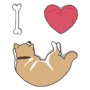 Mr. Shiba Inu