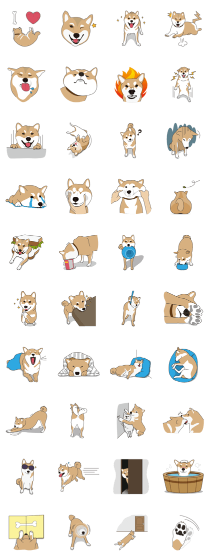 Mr. Shiba Inu