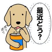 GOLDEN DOG MESSAGE