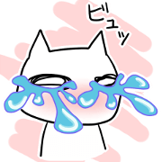 Bordering White cat