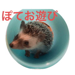mo_20200519191538