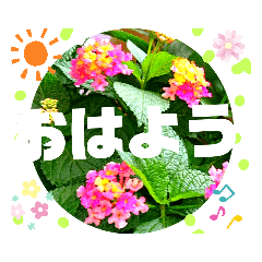 ponta_20200519211113