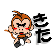 combination monkey