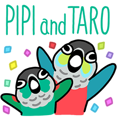 Pipi & Taro The Conures