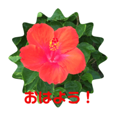 mimi_20200519185342
