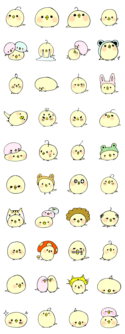 Cute Chick Chick Chick
