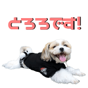 tororo super cute Sticker