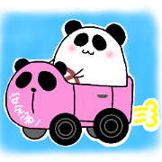 two pandas