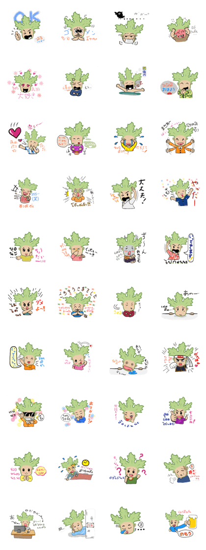 Coriander's everyday