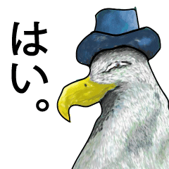Bird with a hat