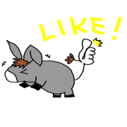 Child donkey