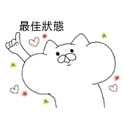 Taiwan cats !!