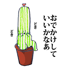 House cactus