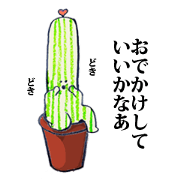 House cactus