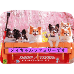 MIYABI_20200519231252