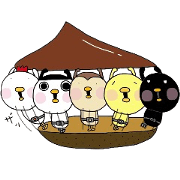 Birds Ranger2