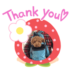 宜しくお願い致します！