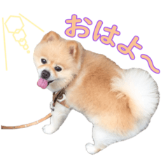 marina_20200520000351