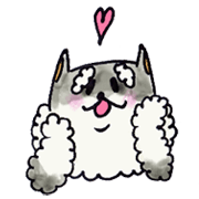 nini of Schnauzer